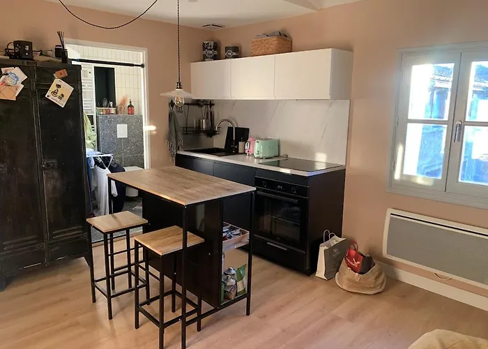 Balade A L'hotel Particulier De Montcalm Montpellier